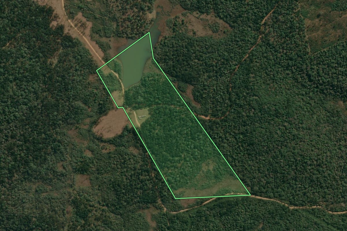 Imagem de satélite do imóvel rural em Inácio Martins (PR), com o contorno declarado no CAR desenhado por cima.
