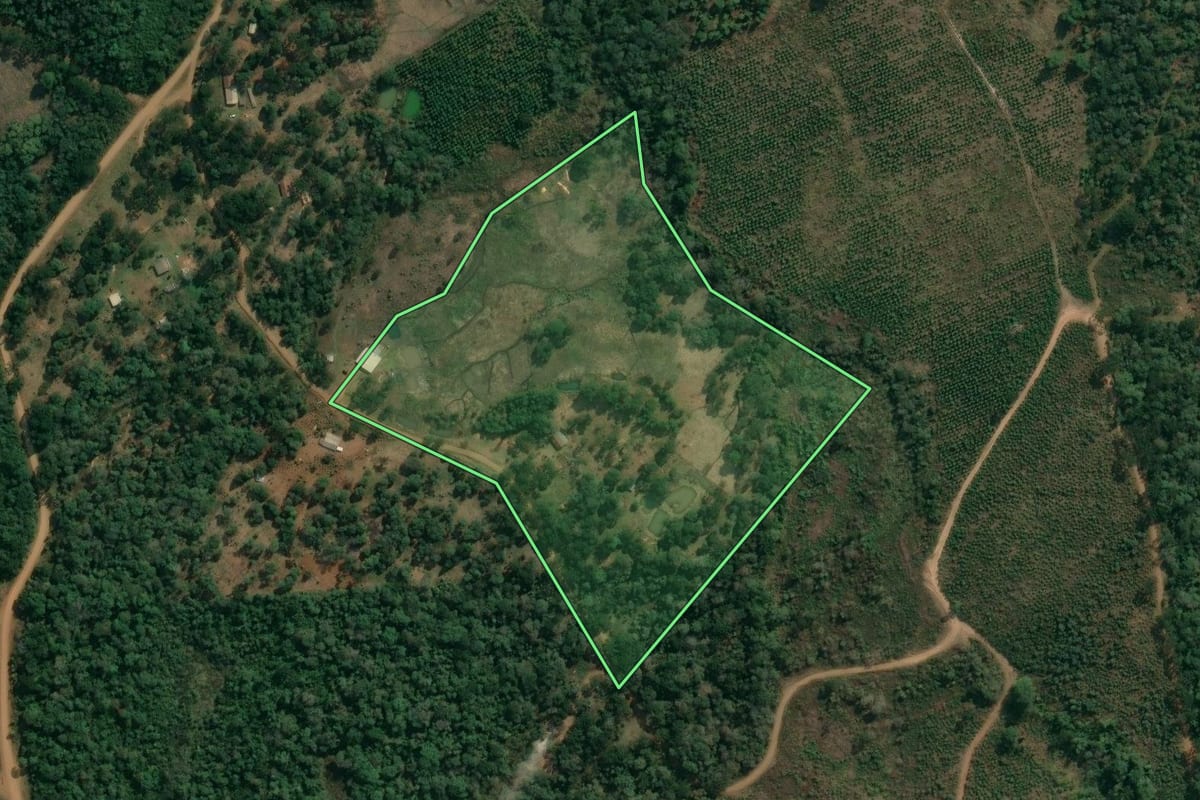 Imagem de satélite do imóvel rural em Inácio Martins (PR), com o contorno declarado no CAR desenhado por cima.