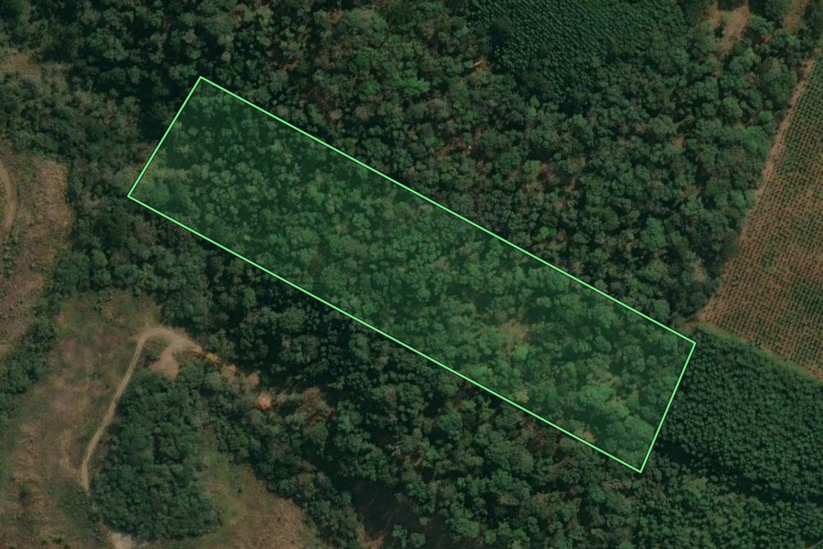 Imagem de satélite do imóvel rural em Inácio Martins (PR), com o contorno declarado no CAR desenhado por cima.