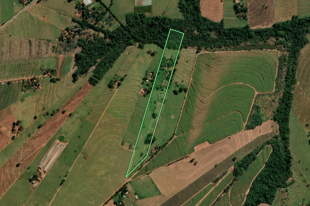 Imagem de satélite do imóvel rural em Indianópolis (PR), com o contorno declarado no CAR desenhado por cima.