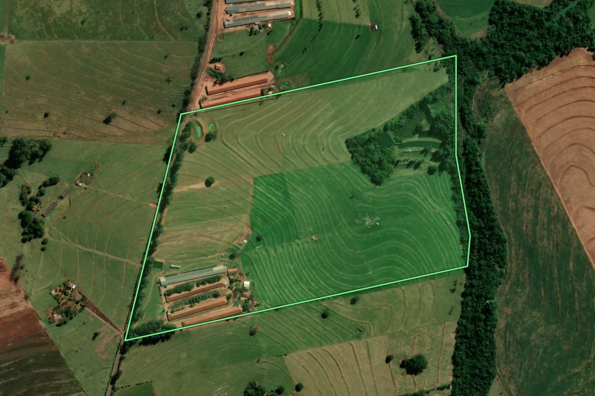 Imagem de satélite do imóvel rural em Indianópolis (PR), com o contorno declarado no CAR desenhado por cima.