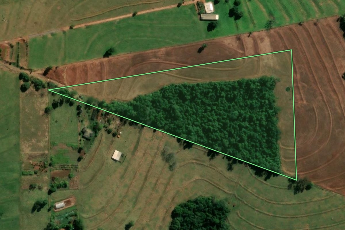 Imagem de satélite do imóvel rural em Indianópolis (PR), com o contorno declarado no CAR desenhado por cima.