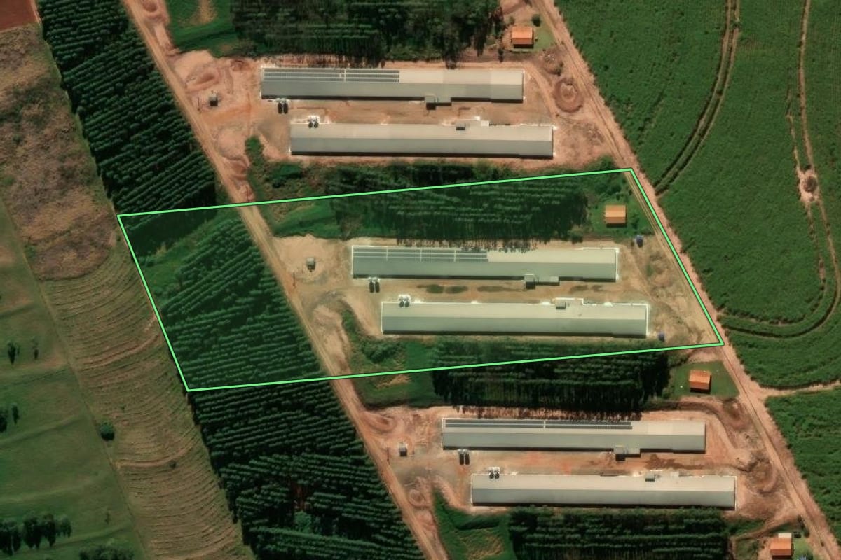 Imagem de satélite do imóvel rural em Indianópolis (PR), com o contorno declarado no CAR desenhado por cima.