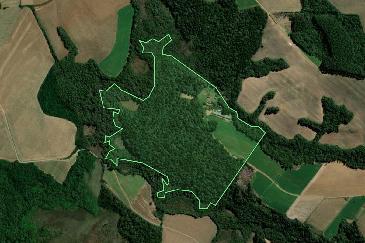 Imagem de satélite do imóvel rural em Ipiranga (PR), com o contorno declarado no CAR desenhado por cima.