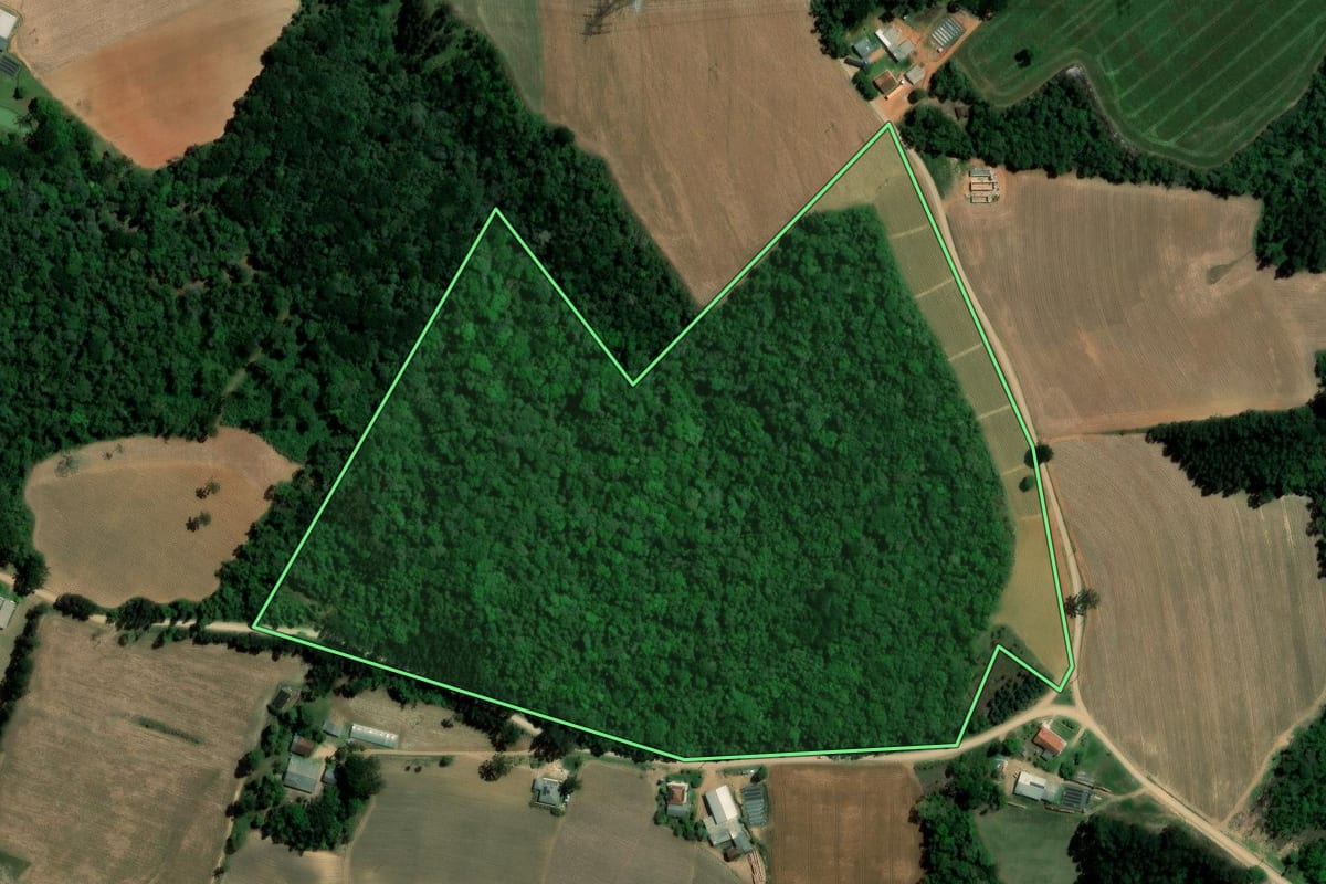 Imagem de satélite do imóvel rural em Ipiranga (PR), com o contorno declarado no CAR desenhado por cima.