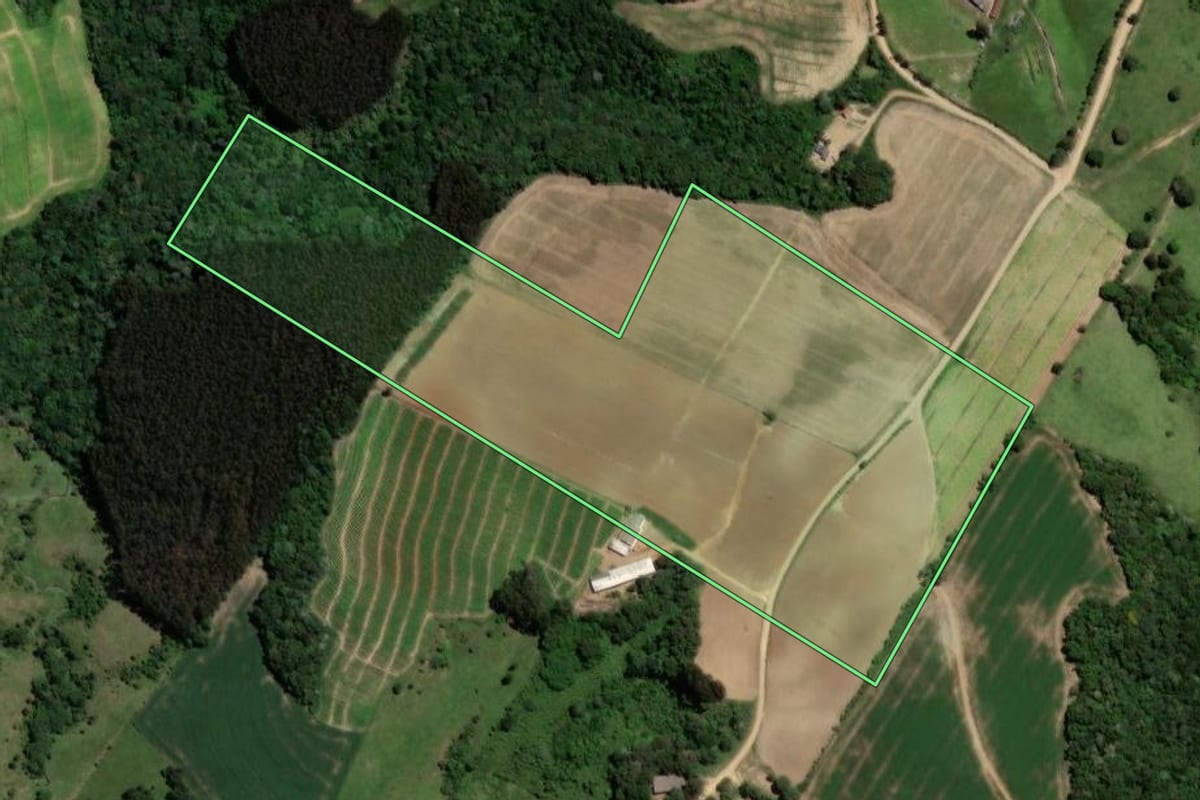 Imagem de satélite do imóvel rural em Ipiranga (PR), com o contorno declarado no CAR desenhado por cima.