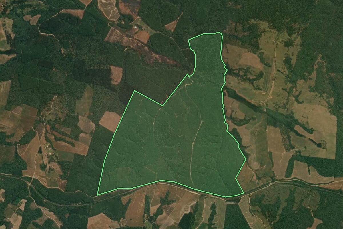 Imagem de satélite do imóvel rural em Ipiranga (PR), com o contorno declarado no CAR desenhado por cima.