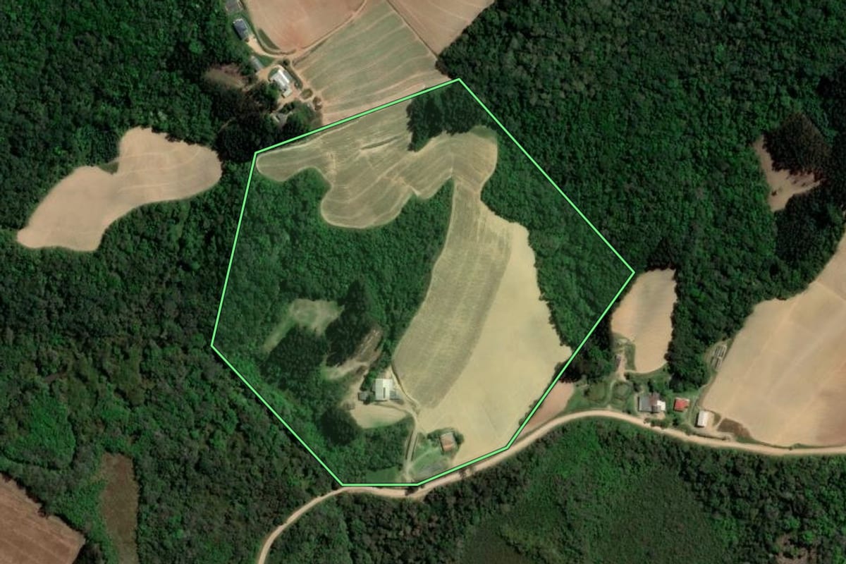Imagem de satélite do imóvel rural em Ipiranga (PR), com o contorno declarado no CAR desenhado por cima.