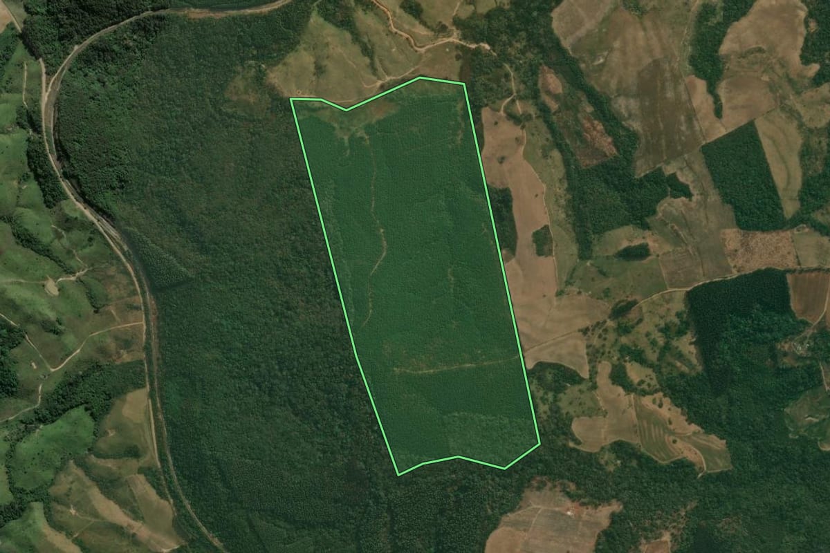 Imagem de satélite do imóvel rural em Ipiranga (PR), com o contorno declarado no CAR desenhado por cima.