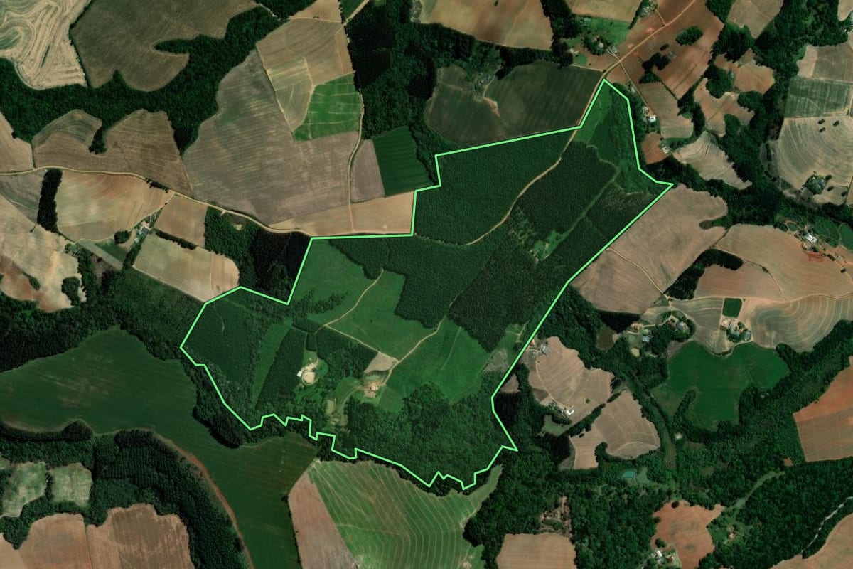 Imagem de satélite do imóvel rural em Ipiranga (PR), com o contorno declarado no CAR desenhado por cima.