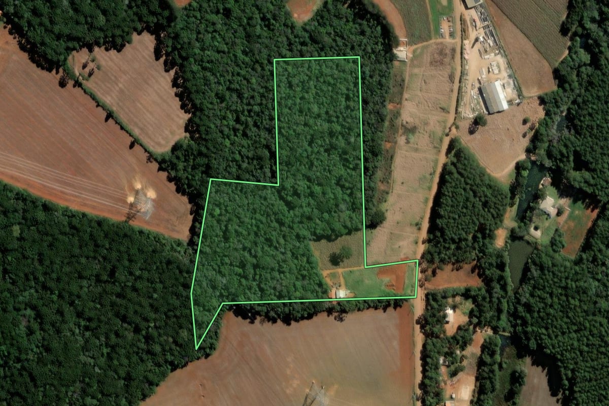 Imagem de satélite do imóvel rural em Ipiranga (PR), com o contorno declarado no CAR desenhado por cima.