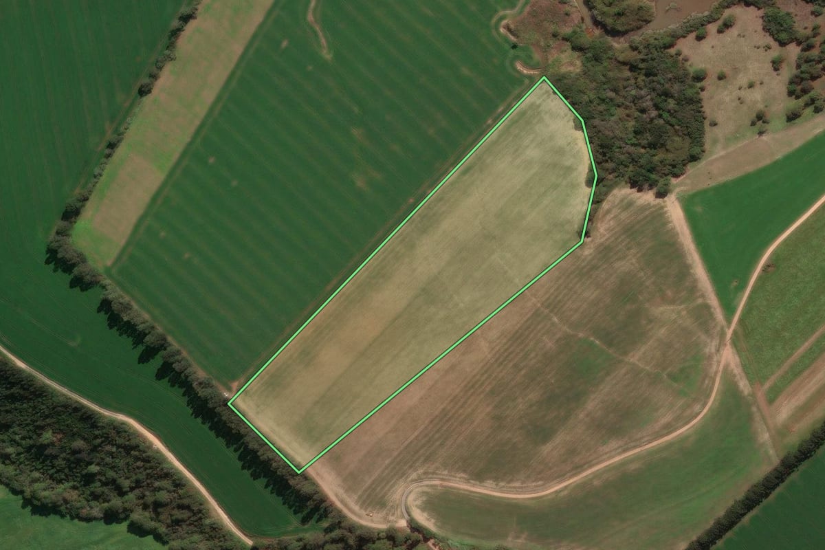 Imagem de satélite do imóvel rural em Ipiranga (PR), com o contorno declarado no CAR desenhado por cima.
