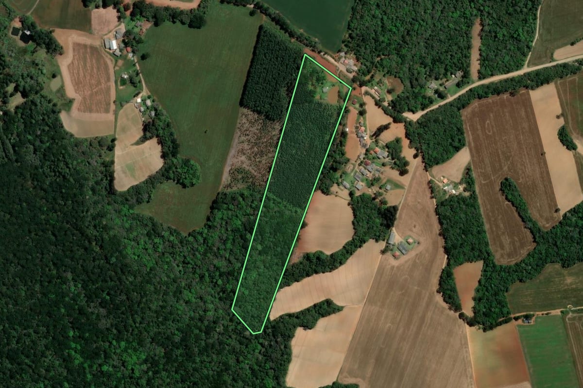 Imagem de satélite do imóvel rural em Ipiranga (PR), com o contorno declarado no CAR desenhado por cima.