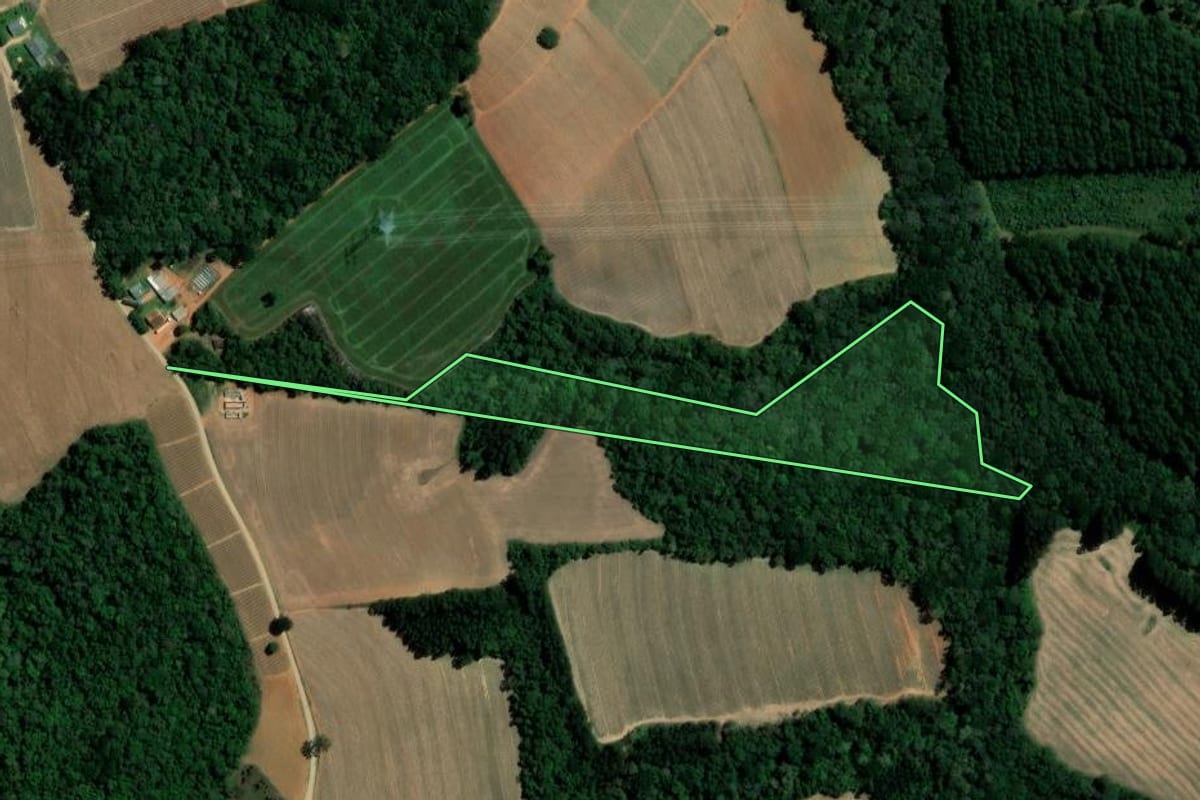 Imagem de satélite do imóvel rural em Ipiranga (PR), com o contorno declarado no CAR desenhado por cima.