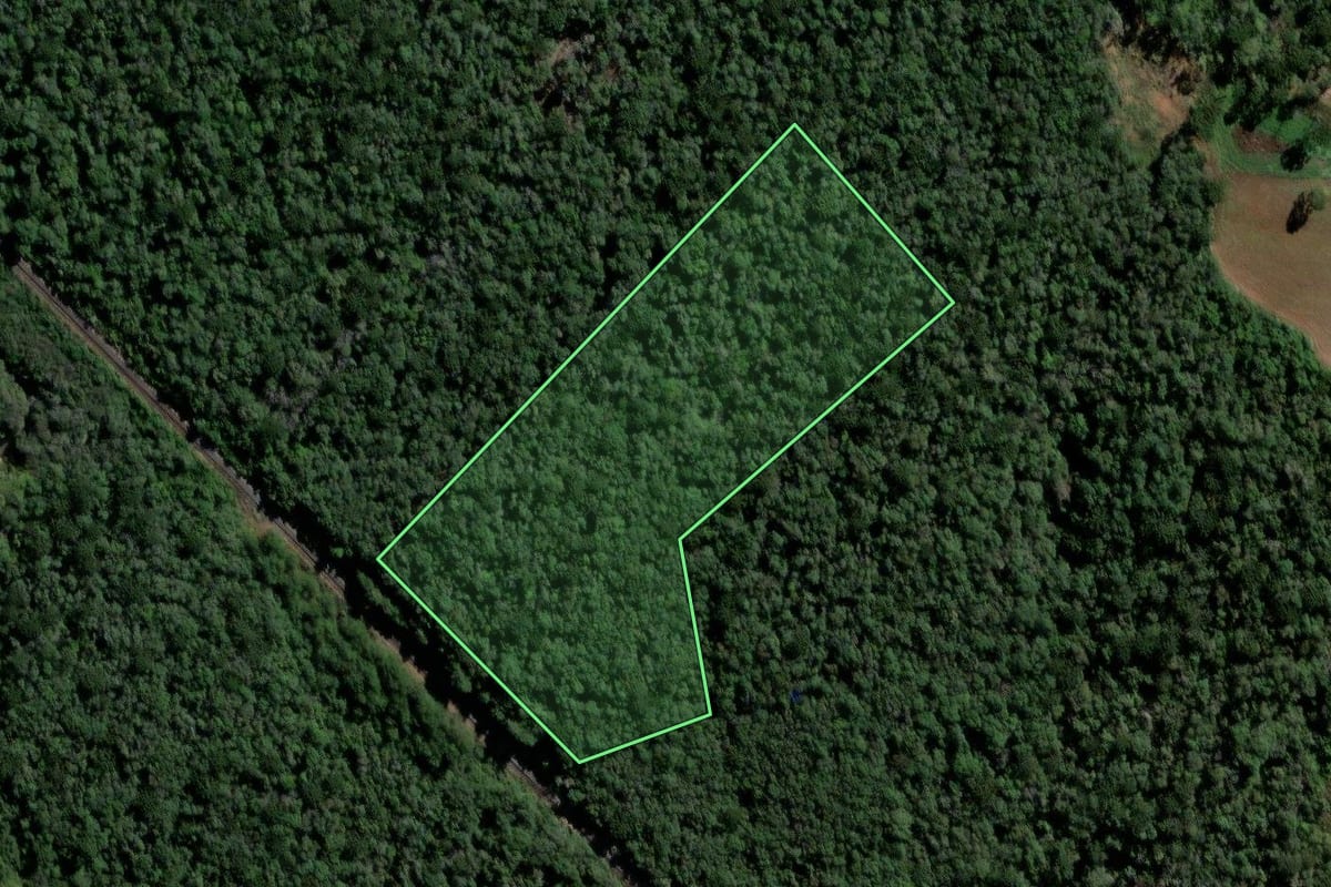 Imagem de satélite do imóvel rural em Ipiranga (PR), com o contorno declarado no CAR desenhado por cima.