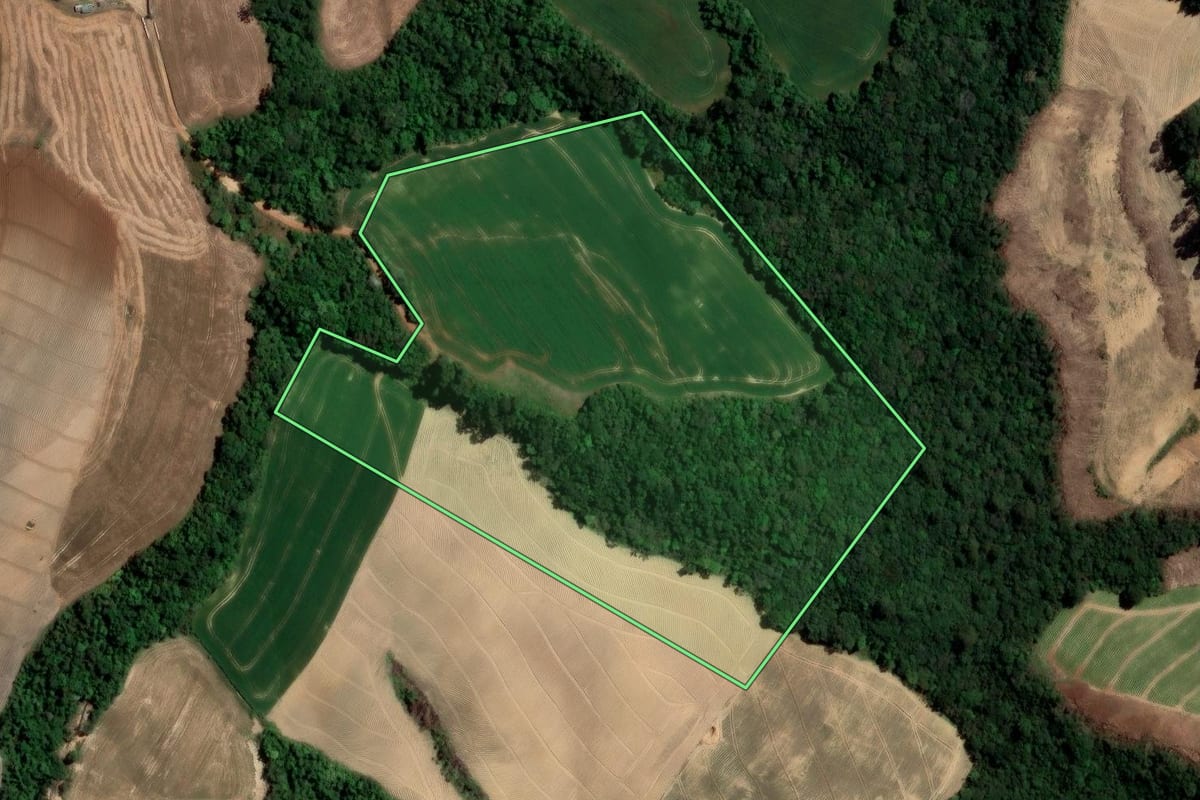 Imagem de satélite do imóvel rural em Ipiranga (PR), com o contorno declarado no CAR desenhado por cima.