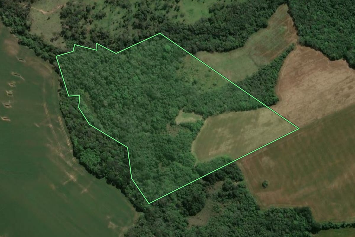 Imagem de satélite do imóvel rural em Ipiranga (PR), com o contorno declarado no CAR desenhado por cima.