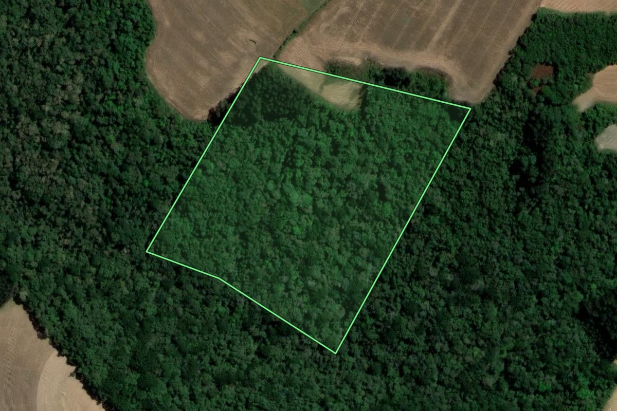 Imagem de satélite do imóvel rural em Ipiranga (PR), com o contorno declarado no CAR desenhado por cima.