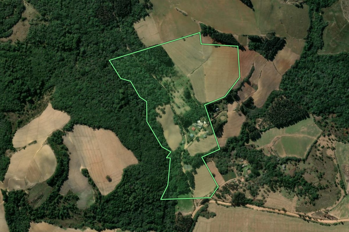 Imagem de satélite do imóvel rural em Ipiranga (PR), com o contorno declarado no CAR desenhado por cima.