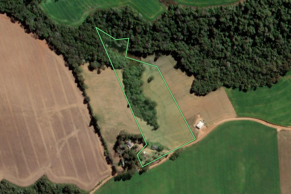 Imagem de satélite do imóvel rural em Ipiranga (PR), com o contorno declarado no CAR desenhado por cima.