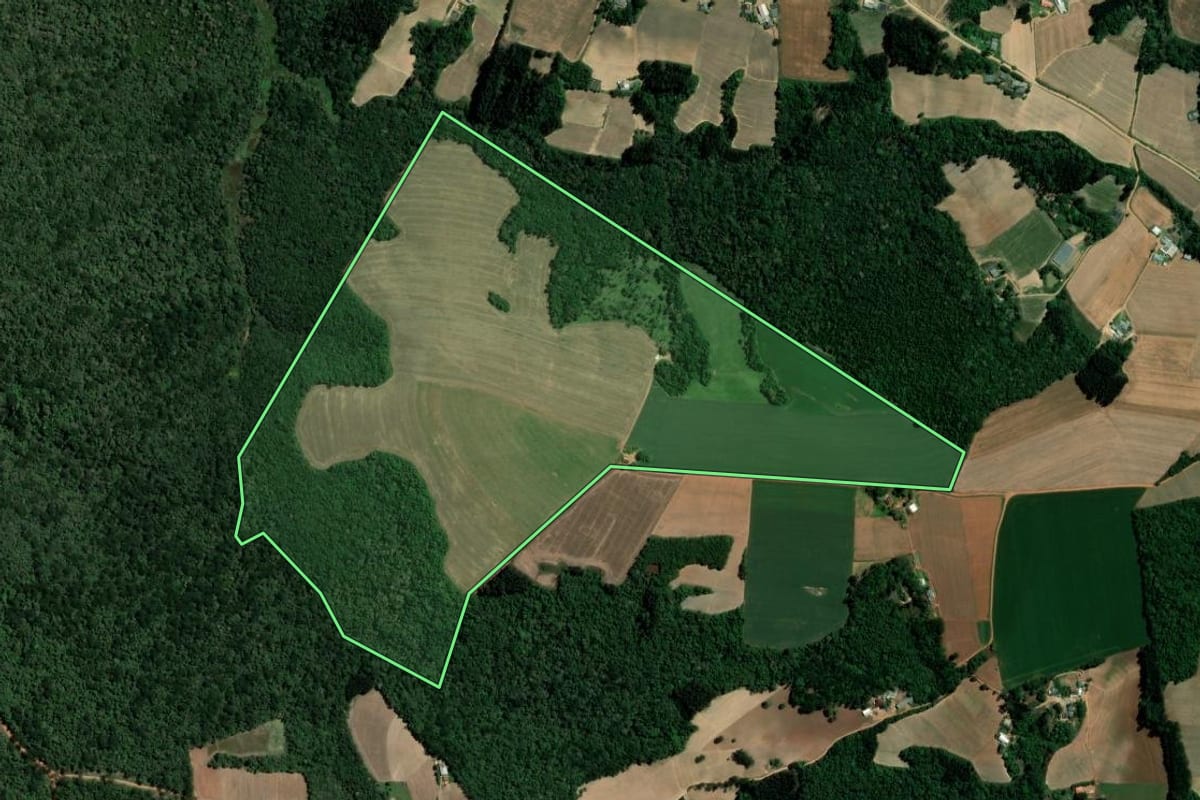 Imagem de satélite do imóvel rural em Ipiranga (PR), com o contorno declarado no CAR desenhado por cima.