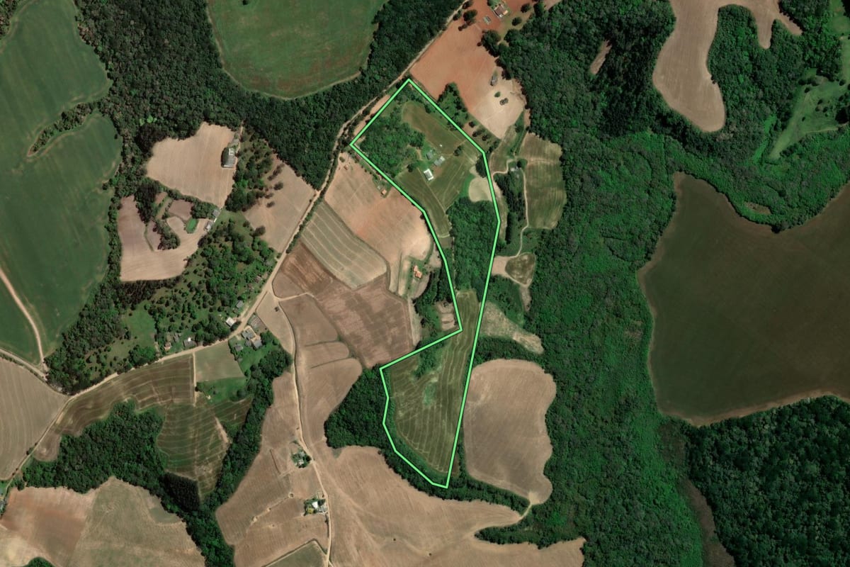 Imagem de satélite do imóvel rural em Ipiranga (PR), com o contorno declarado no CAR desenhado por cima.