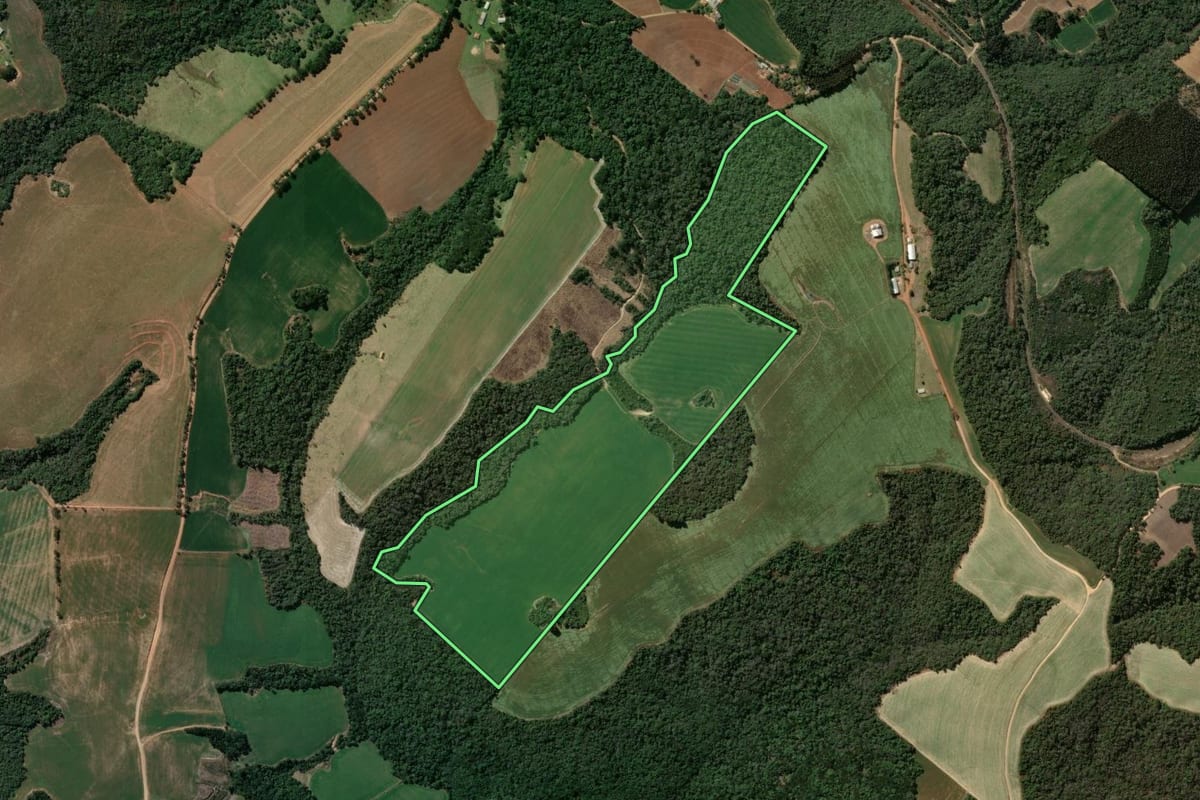Imagem de satélite do imóvel rural em Ipiranga (PR), com o contorno declarado no CAR desenhado por cima.