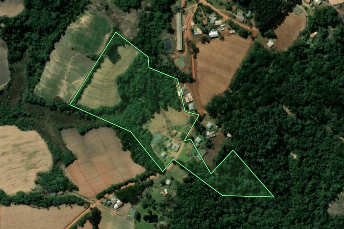 Imagem de satélite do imóvel rural em Ipiranga (PR), com o contorno declarado no CAR desenhado por cima.