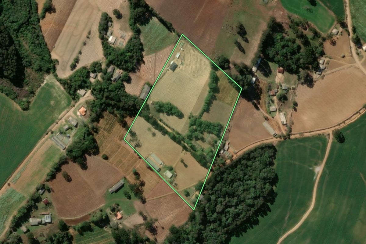 Imagem de satélite do imóvel rural em Ipiranga (PR), com o contorno declarado no CAR desenhado por cima.