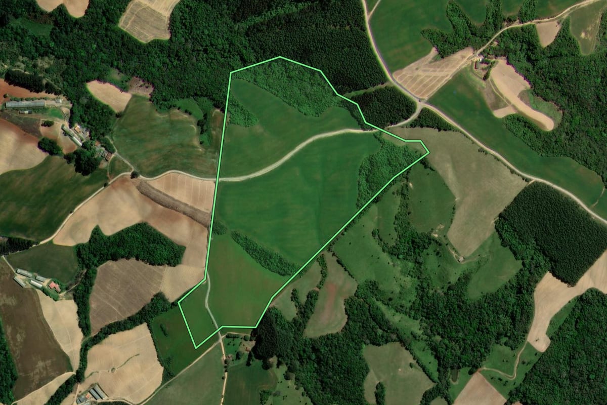 Imagem de satélite do imóvel rural em Ipiranga (PR), com o contorno declarado no CAR desenhado por cima.