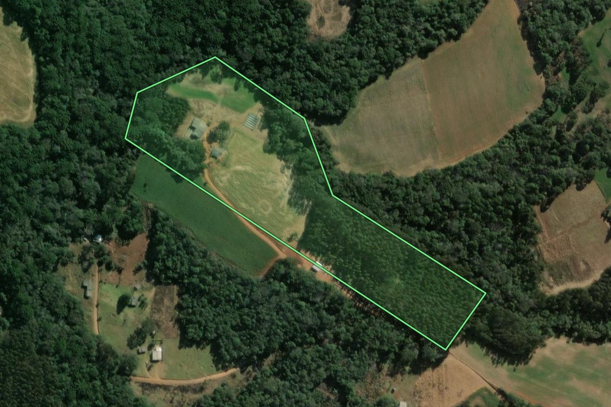 Imagem de satélite do imóvel rural em Ipiranga (PR), com o contorno declarado no CAR desenhado por cima.