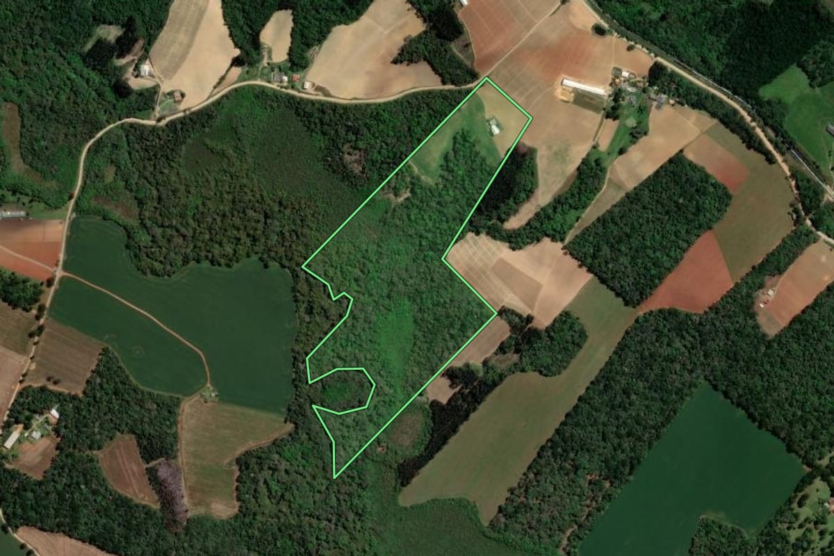 Imagem de satélite do imóvel rural em Ipiranga (PR), com o contorno declarado no CAR desenhado por cima.