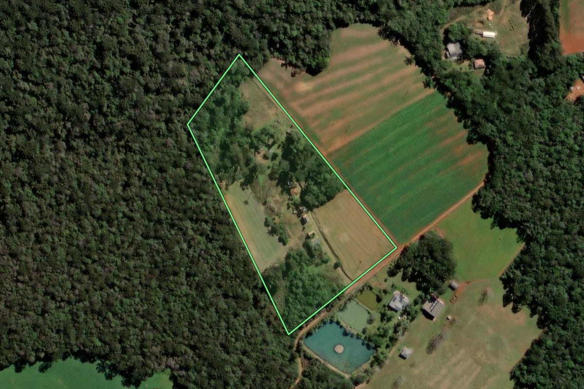 Imagem de satélite do imóvel rural em Ipiranga (PR), com o contorno declarado no CAR desenhado por cima.