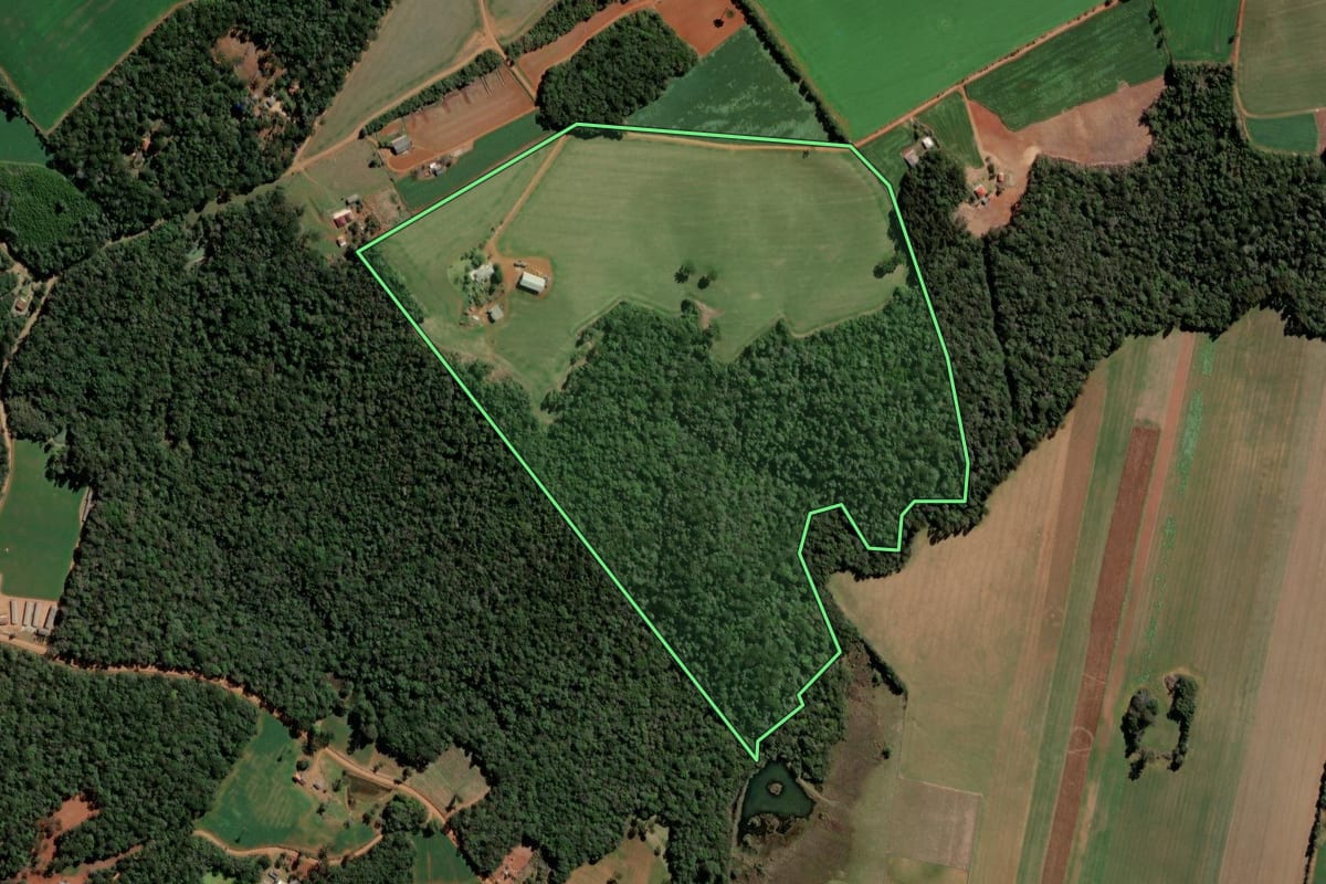 Imagem de satélite do imóvel rural em Ipiranga (PR), com o contorno declarado no CAR desenhado por cima.
