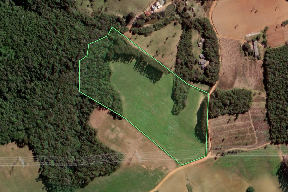 Imagem de satélite do imóvel rural em Ipiranga (PR), com o contorno declarado no CAR desenhado por cima.