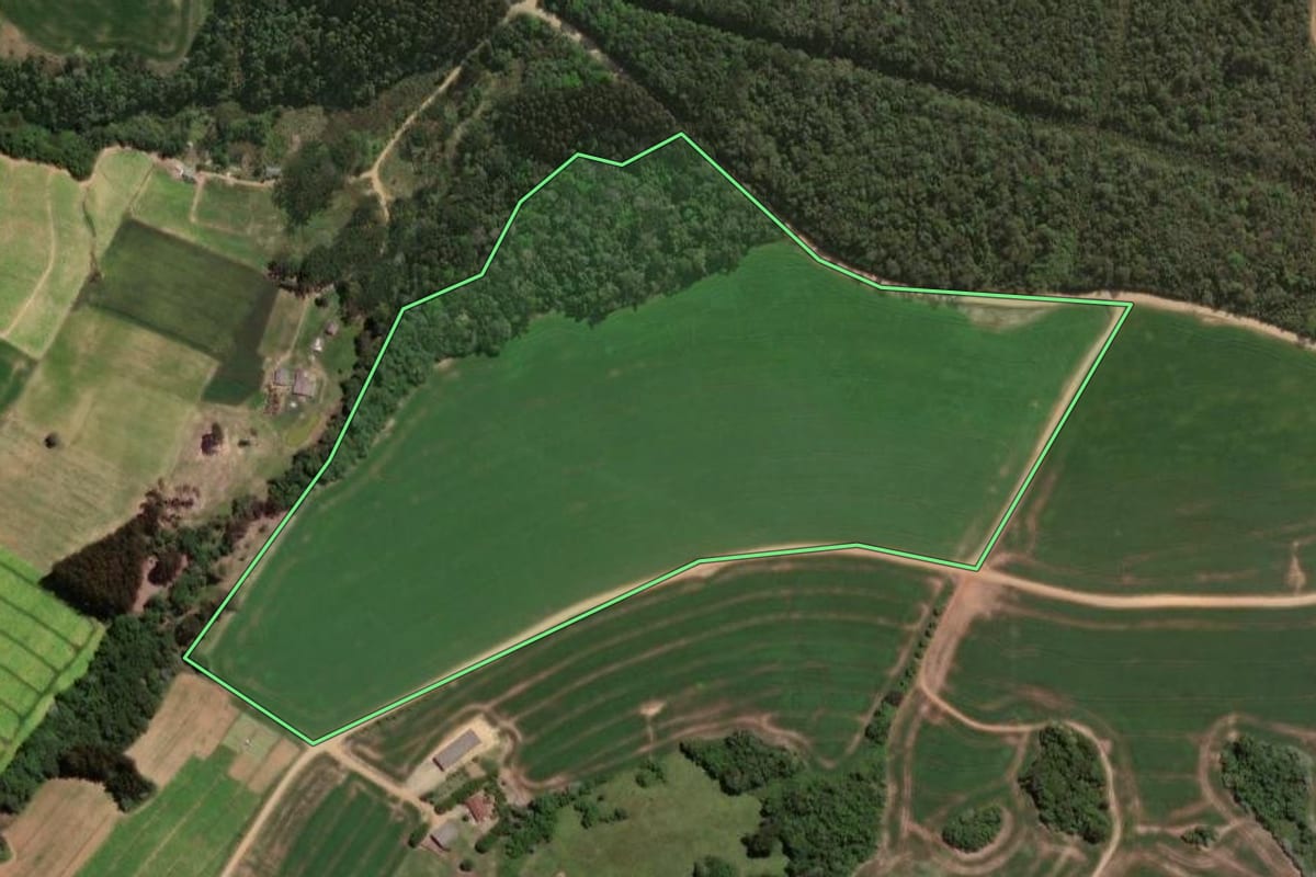 Imagem de satélite do imóvel rural em Ipiranga (PR), com o contorno declarado no CAR desenhado por cima.