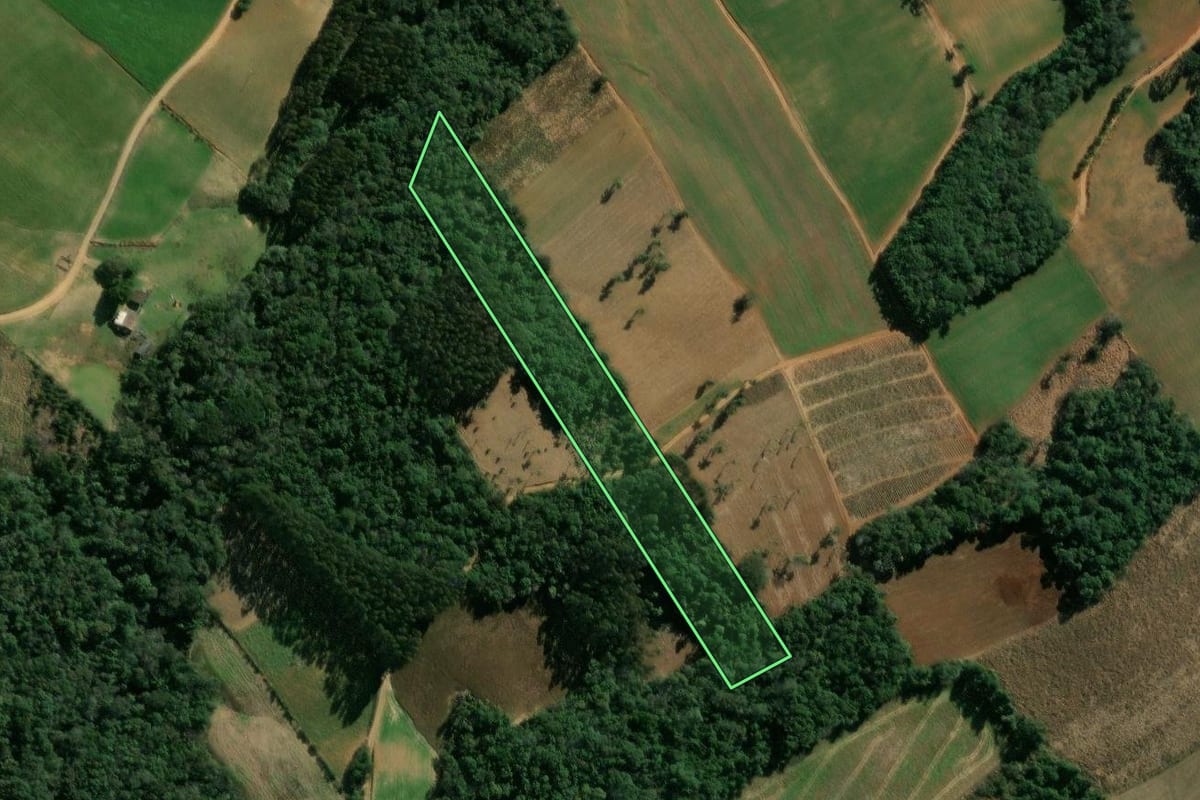 Imagem de satélite do imóvel rural em Ipiranga (PR), com o contorno declarado no CAR desenhado por cima.