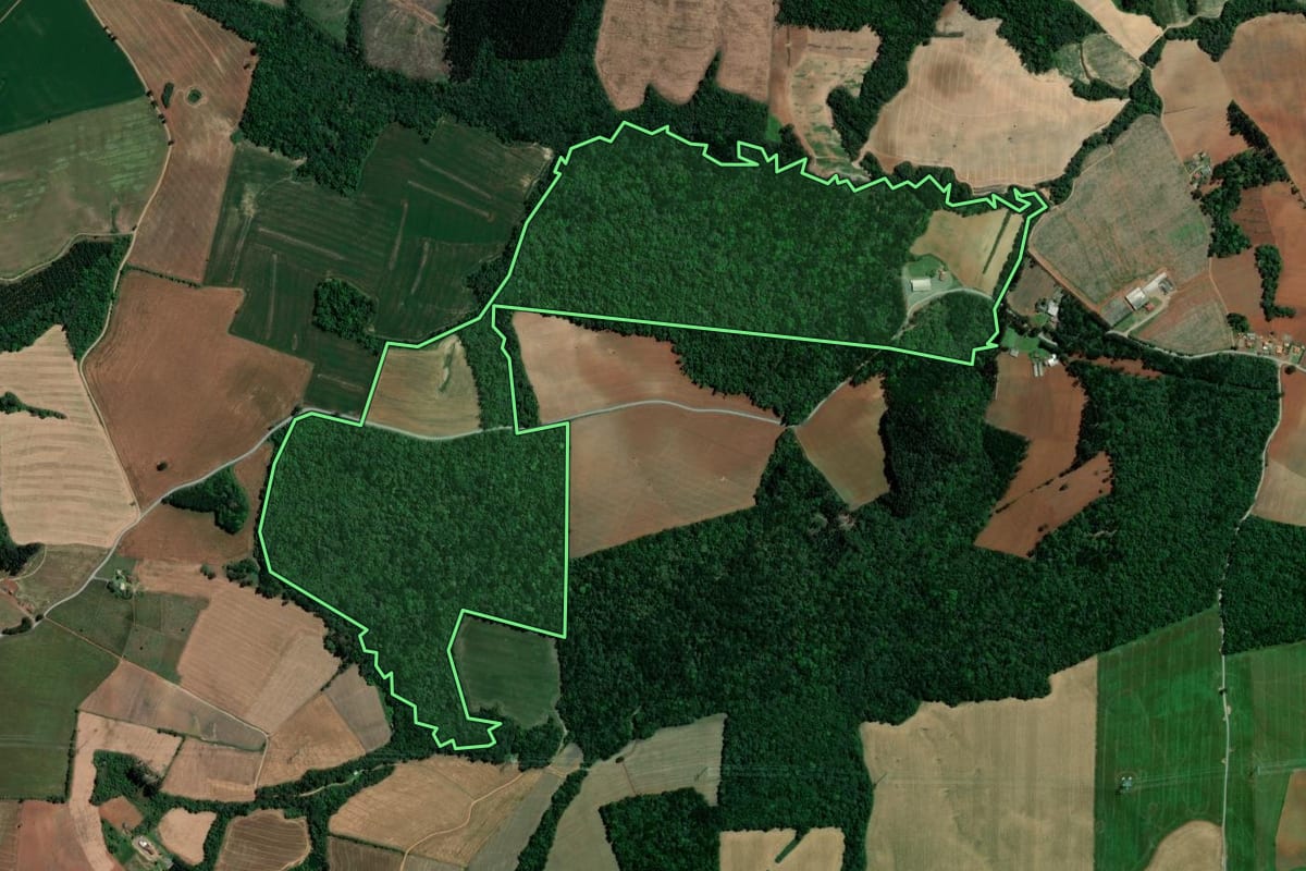 Imagem de satélite do imóvel rural em Ipiranga (PR), com o contorno declarado no CAR desenhado por cima.