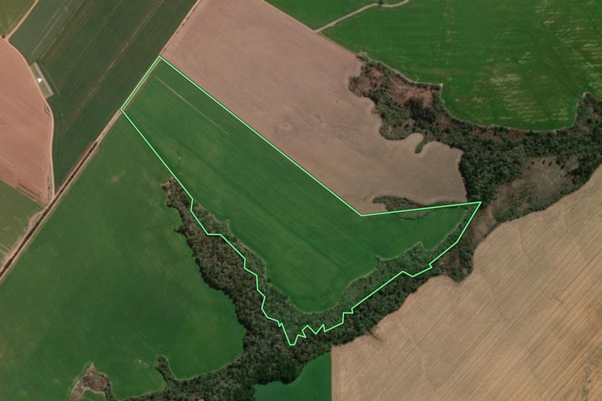 Imagem de satélite do imóvel rural em Ipiranga (PR), com o contorno declarado no CAR desenhado por cima.