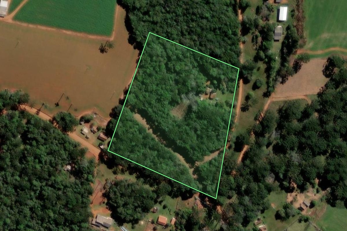 Imagem de satélite do imóvel rural em Ipiranga (PR), com o contorno declarado no CAR desenhado por cima.