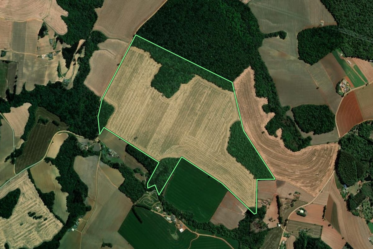 Imagem de satélite do imóvel rural em Ipiranga (PR), com o contorno declarado no CAR desenhado por cima.
