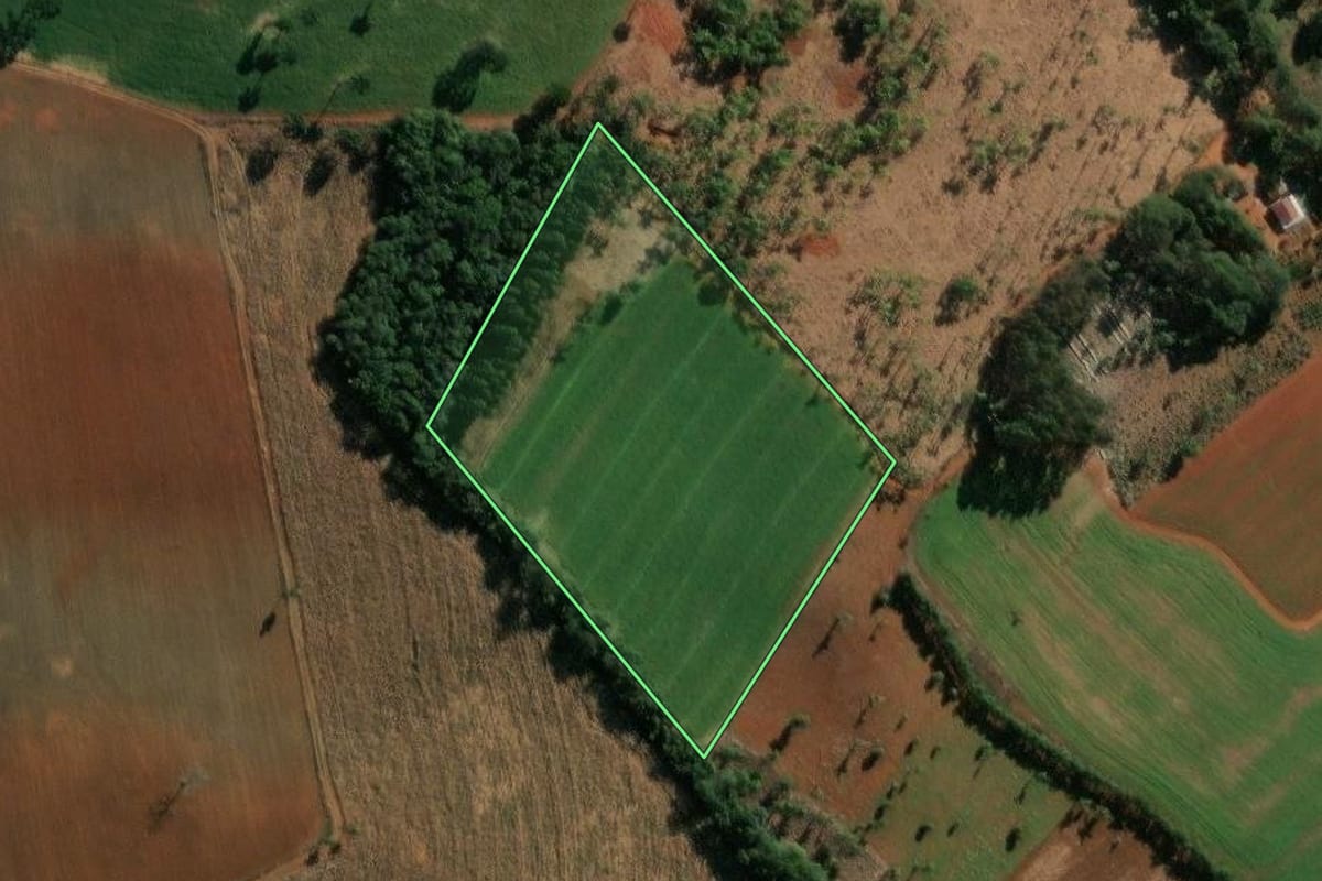 Imagem de satélite do imóvel rural em Ipiranga (PR), com o contorno declarado no CAR desenhado por cima.