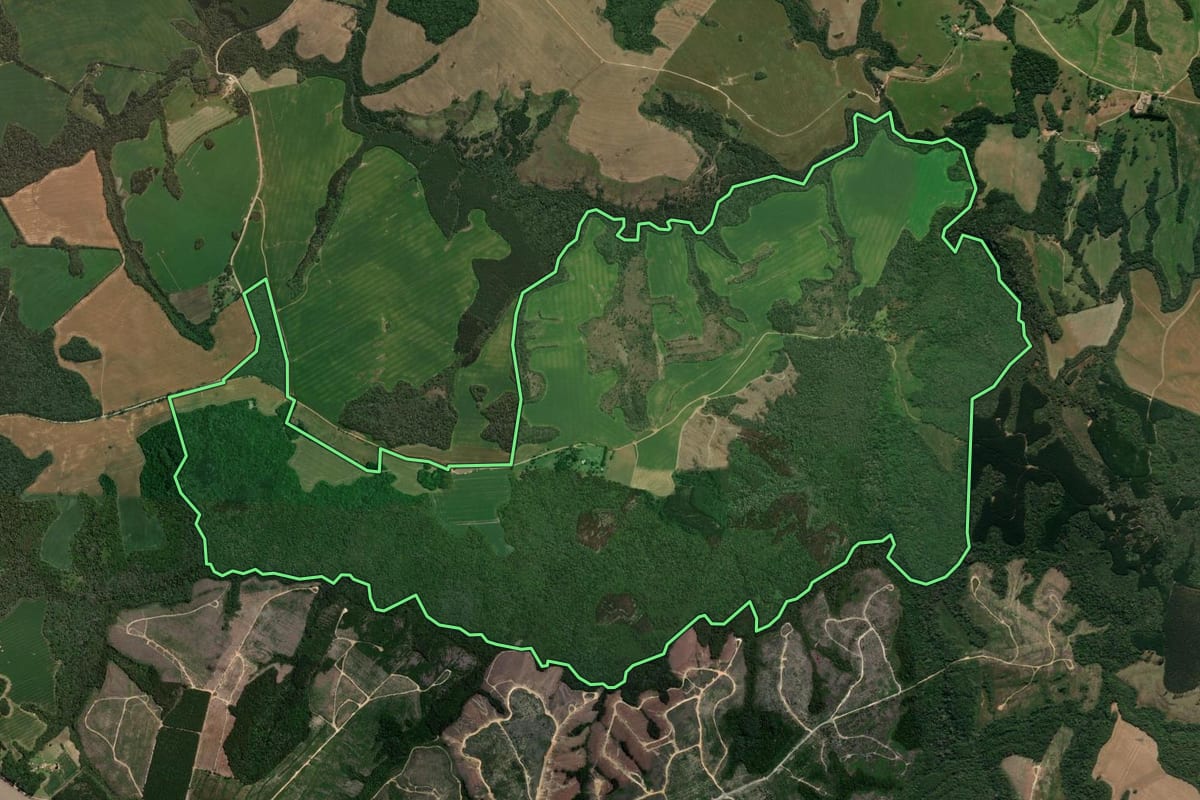 Imagem de satélite do imóvel rural em Ipiranga (PR), com o contorno declarado no CAR desenhado por cima.