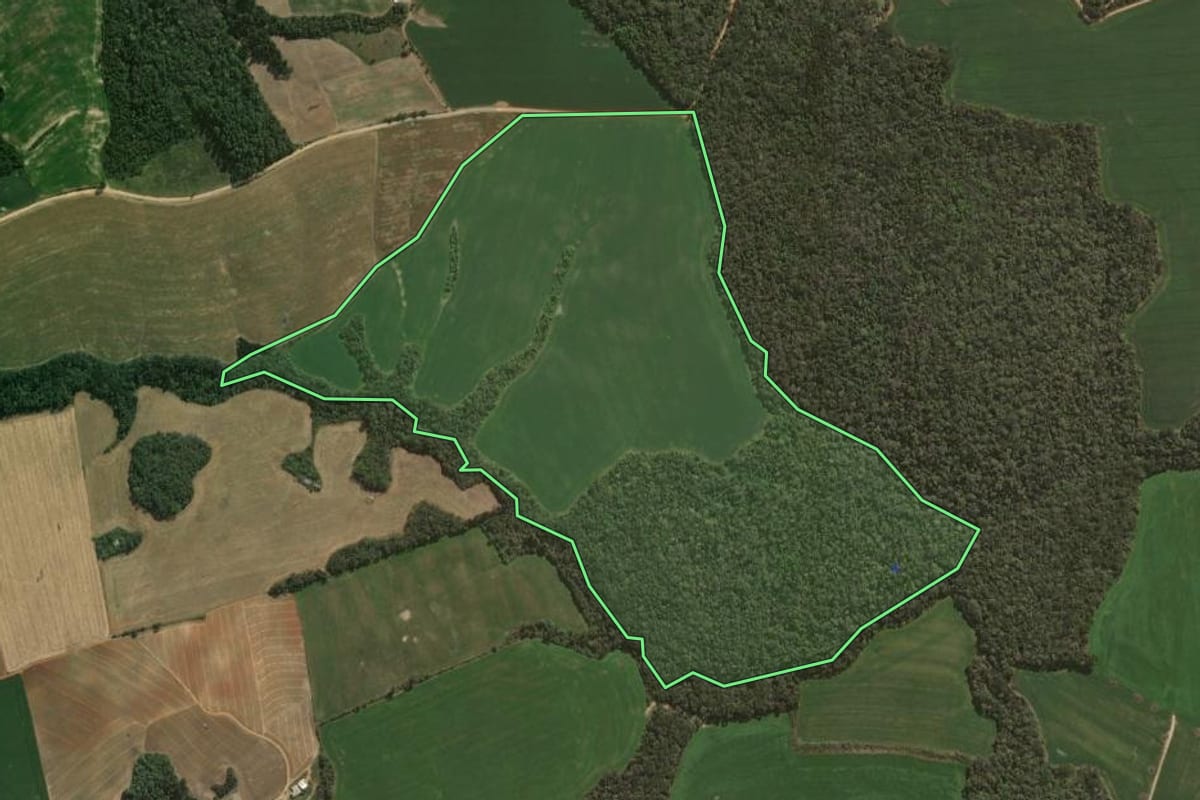 Imagem de satélite do imóvel rural em Ipiranga (PR), com o contorno declarado no CAR desenhado por cima.