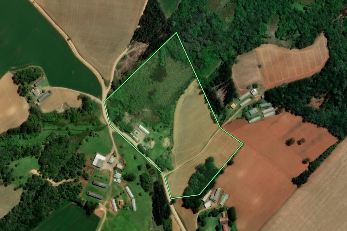 Imagem de satélite do imóvel rural em Ipiranga (PR), com o contorno declarado no CAR desenhado por cima.