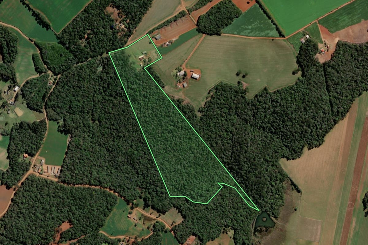 Imagem de satélite do imóvel rural em Ipiranga (PR), com o contorno declarado no CAR desenhado por cima.