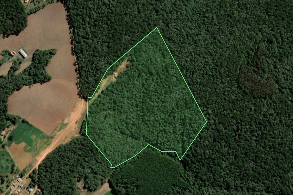 Imagem de satélite do imóvel rural em Ipiranga (PR), com o contorno declarado no CAR desenhado por cima.