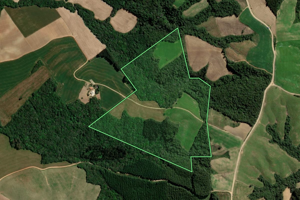 Imagem de satélite do imóvel rural em Ipiranga (PR), com o contorno declarado no CAR desenhado por cima.