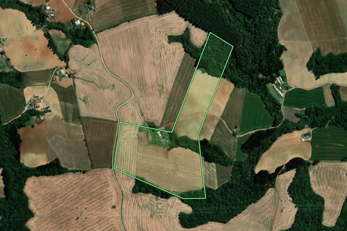 Imagem de satélite do imóvel rural em Ipiranga (PR), com o contorno declarado no CAR desenhado por cima.