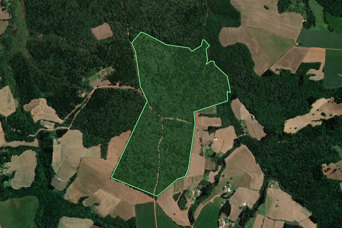 Imagem de satélite do imóvel rural em Ipiranga (PR), com o contorno declarado no CAR desenhado por cima.
